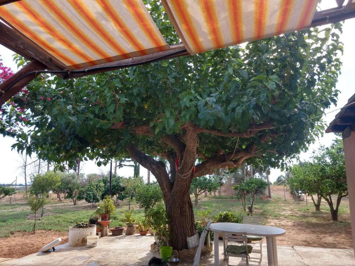 Bed and Breakfast Il Gazebo Scoglitti Exterior foto